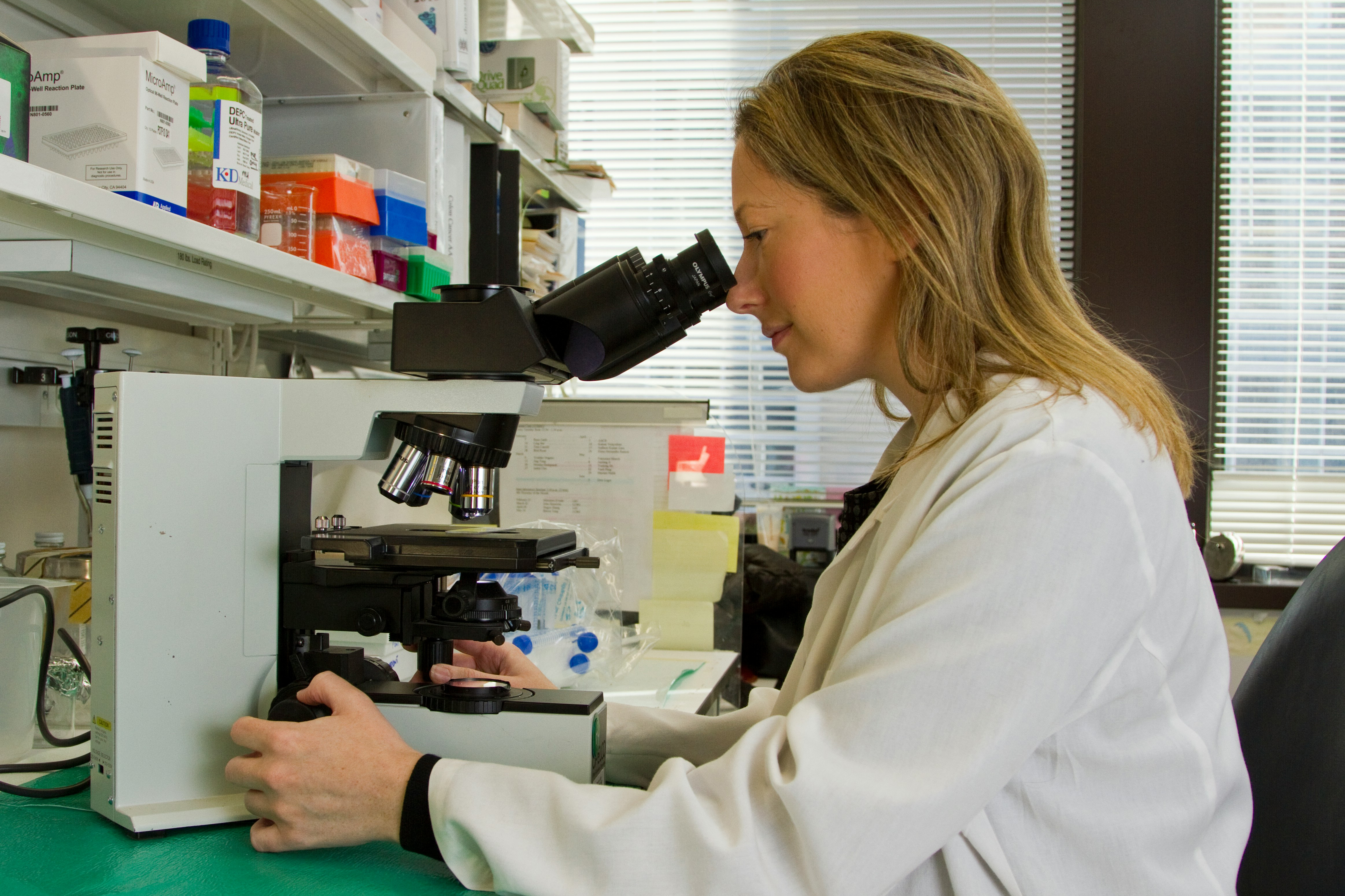 scientist looking into a microscope