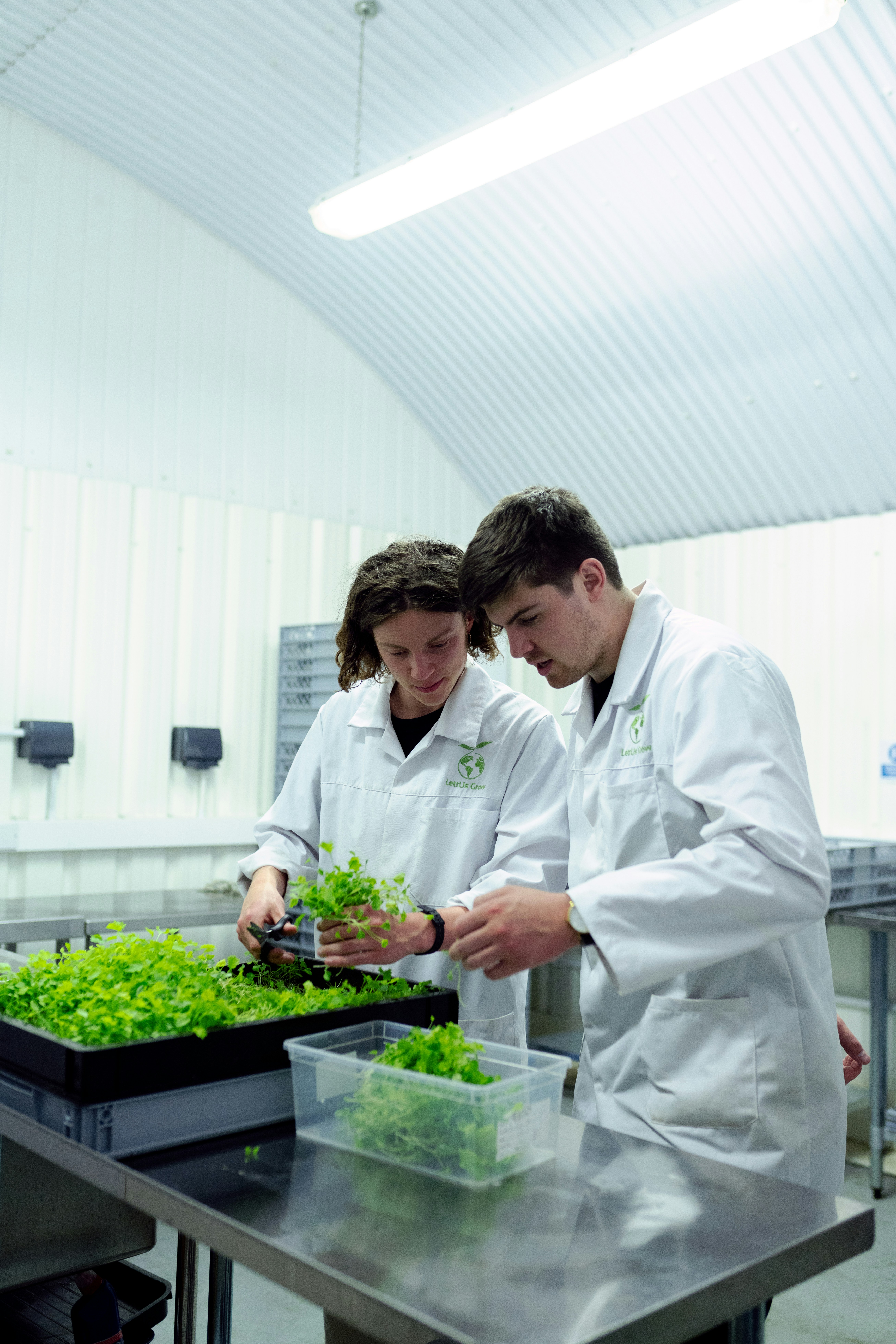 two scientists working with plants