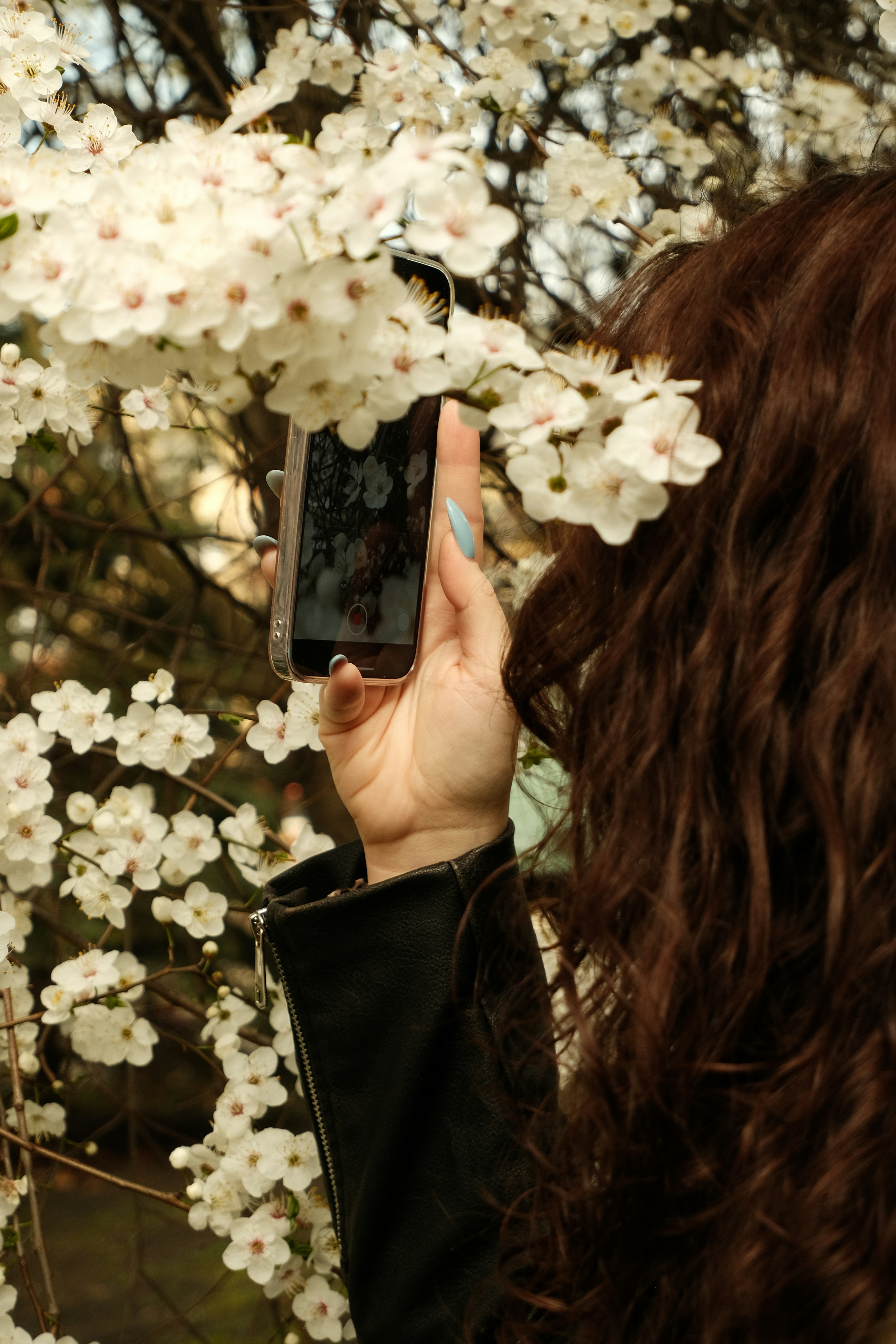girl taking and up-close picture of flowers